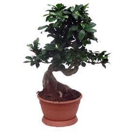 Dodaj opinię o zdjęciu 6.