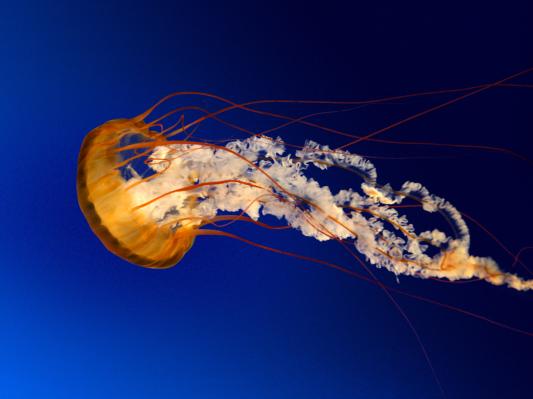 Photo from test53676