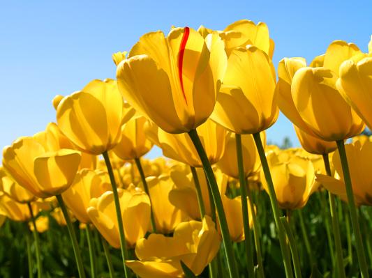 Photo from test53676