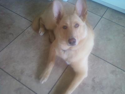 my girl