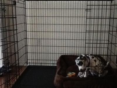 Very large crate