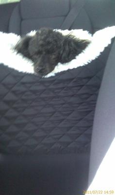 Missy, happy at last!