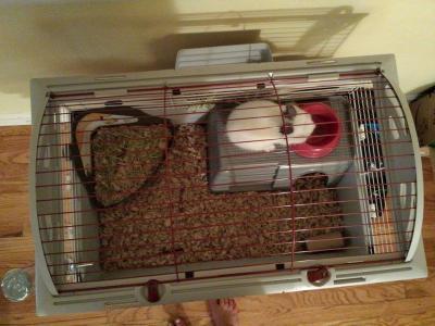 (litterbox not included, but so much room with one)