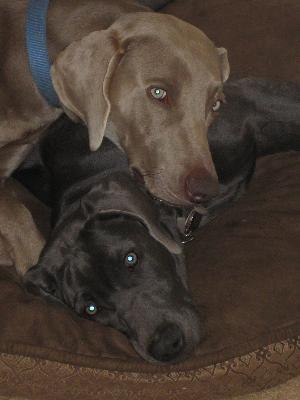 Mason & River
