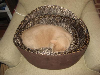 1.Testing My New Bed... Seems OK...