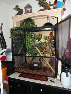 Capt. Jack's new Fresh Air Habitat