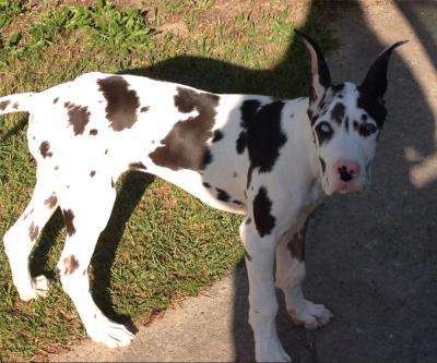Graffiti at 3 months old