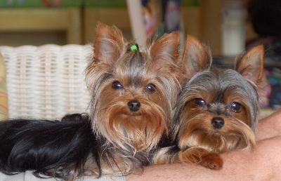 Pebbles & Peaches
