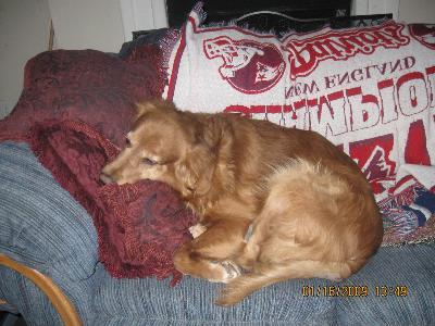 Napping after Greenies