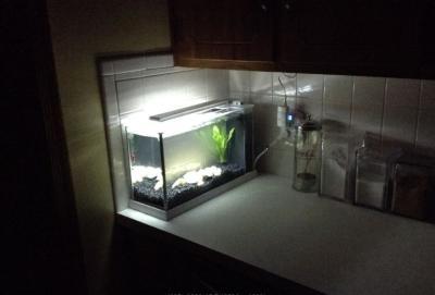 Low profile for small kitchen counter