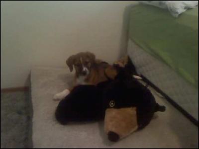 Kyne playing on his bed with his bear.