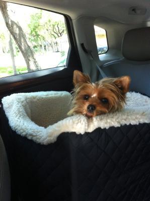She's happy
