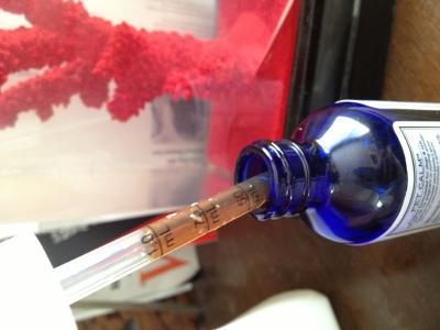 The Dropper