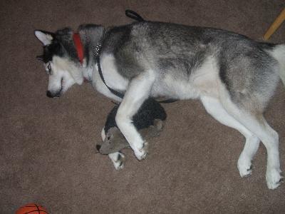 cuddling with one of many