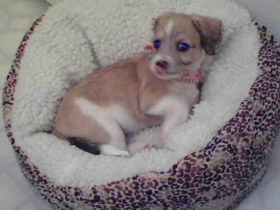 Roxy relaxing