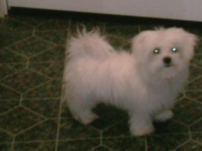quincy