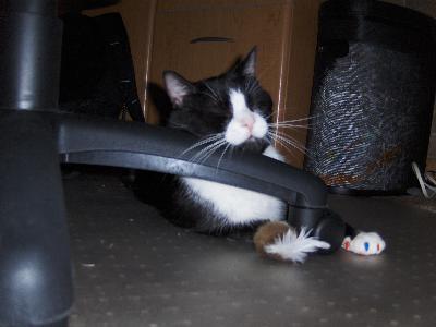 Taking a nap