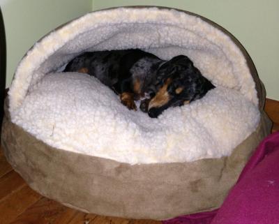 Tis toasty