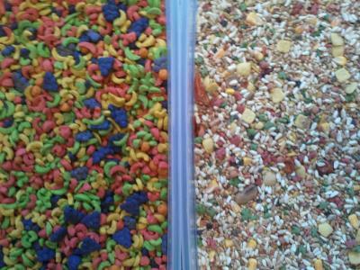 Kaytee Fortidiet is on the right. Zupreem Fruit Blend is on the left. I feed my Amazon both of these.