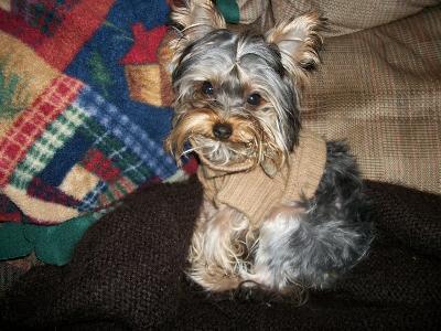 Mickey-6 1/2 mos.