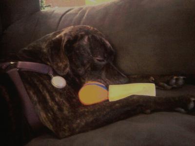 Here she is cuddling with her ball!