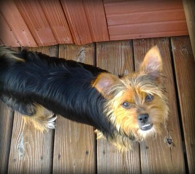 Max drying in the sun