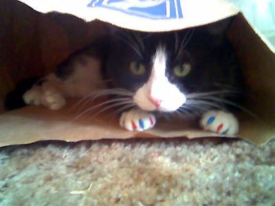Hiding in his paper bag