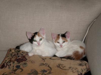 Persephone and Penelope