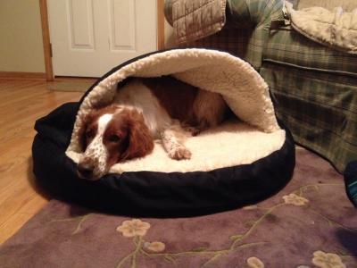 Large - lower foam cushion only