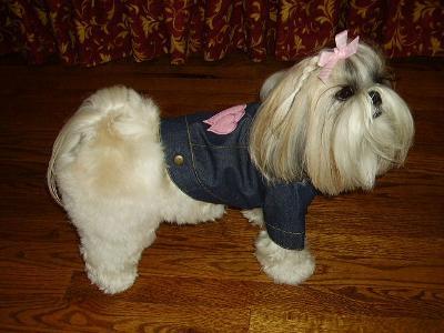 ALL DRESSED UP!
