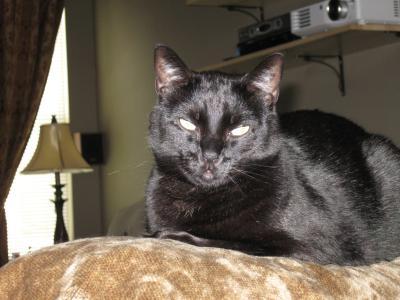 Salem