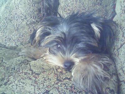 My Baby!
