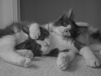 Edward and Einstein 5 months