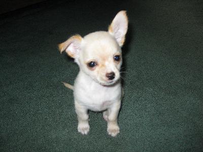 First day home July 2010