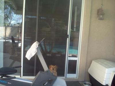 Outside view with happy dog, Harley.