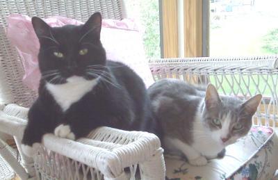 Mr Tibbs and Miss (Tater) Tot