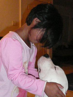 Indigo Pit Bull