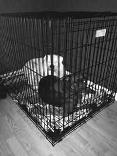 GIN&TONIC'S NEW CRATE