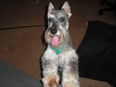 Alexander The Great 11 years