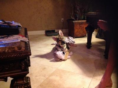 My Coco