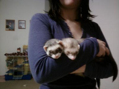 Bandit(left side) & Isabel(right side)